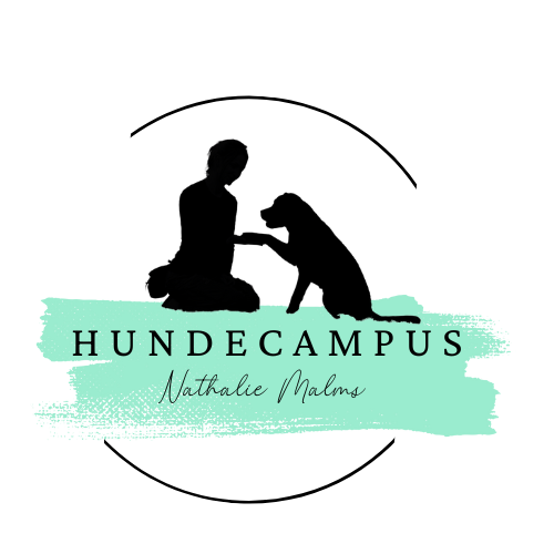 Hundecampus